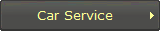 Car Service